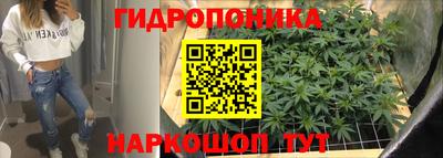 бошки Можга