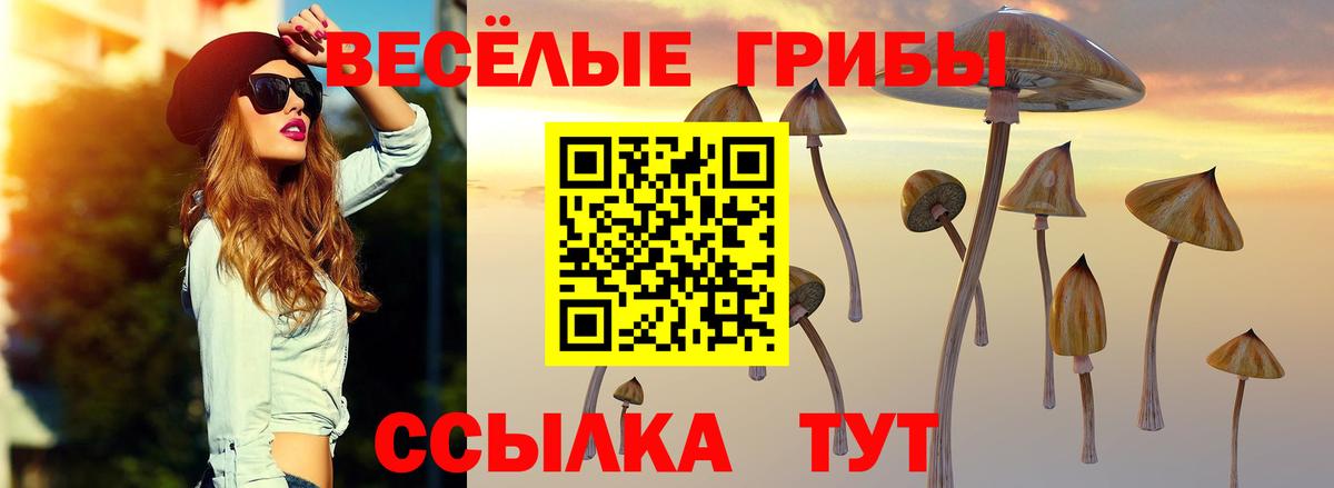 Псилоцибиновые грибы GOLDEN TEACHER  Вход с VPN  Уварово 